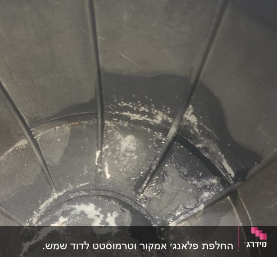 ברגים בתוך מיכל פלסטיק שחור עם כתמים לבנים